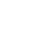 Soul Optic